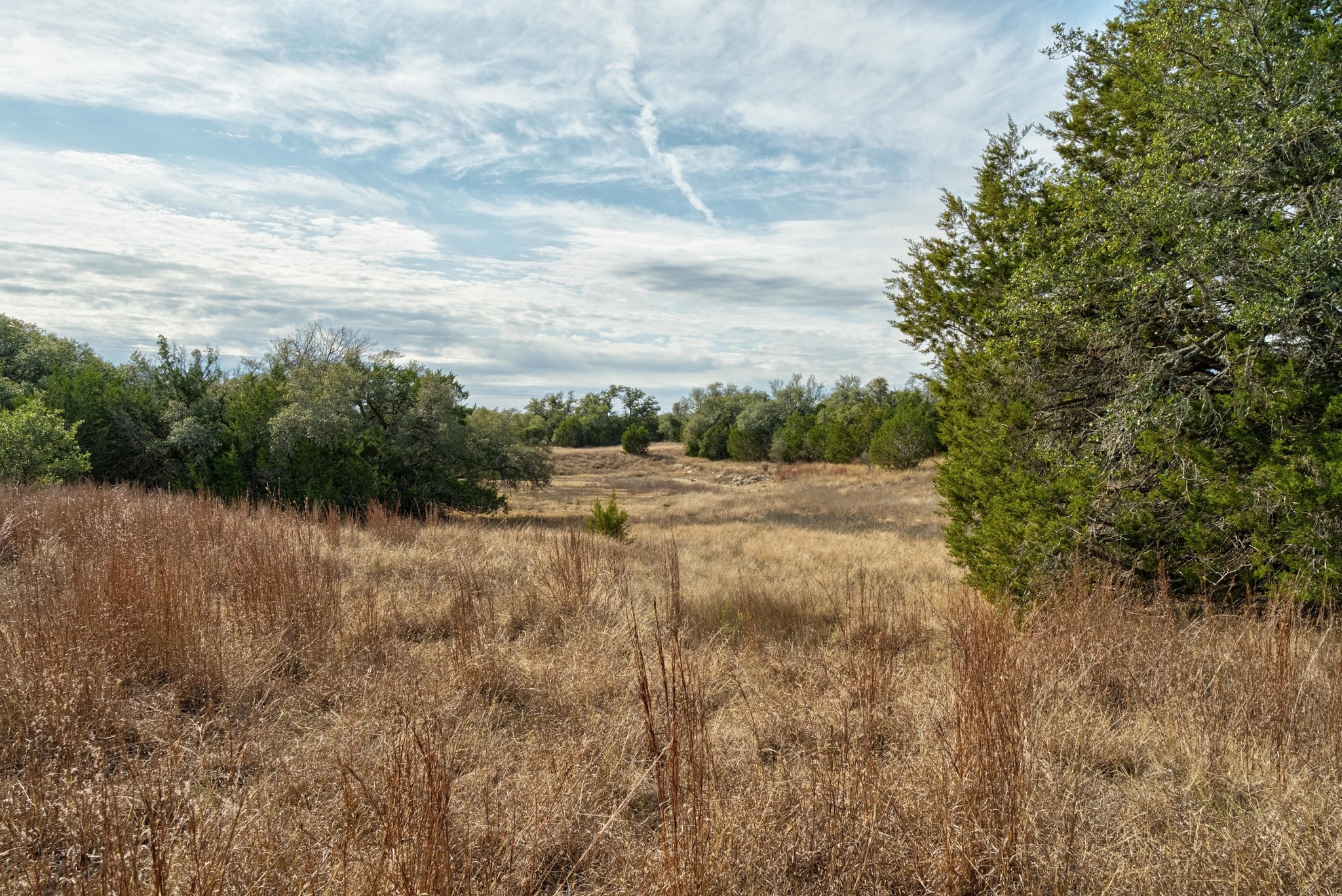150 West Rte Driftwood Tx 78619 Route Driftwood, TX 78619 - Photo 25 of 34