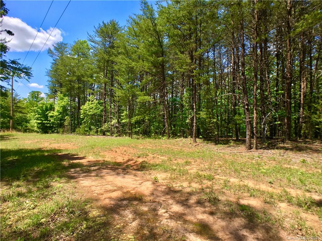 0 Moss Road Rutherfordton, NC 28139 - Photo 2 of 8
