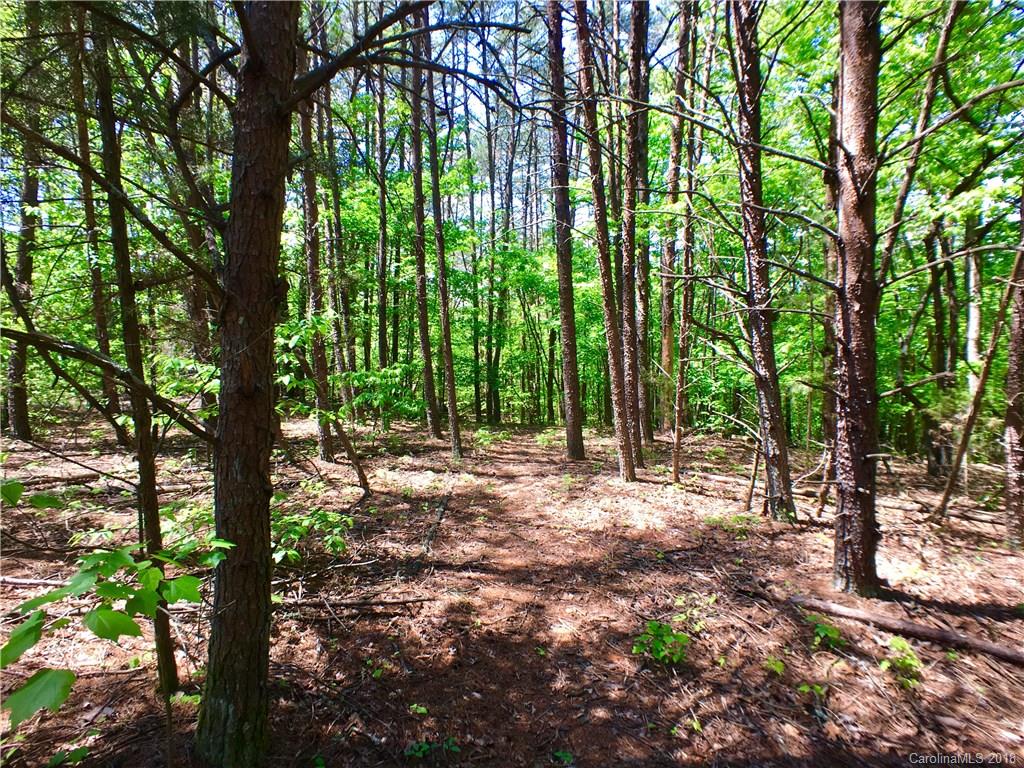 0 Moss Road Rutherfordton, NC 28139 - Photo 3 of 8