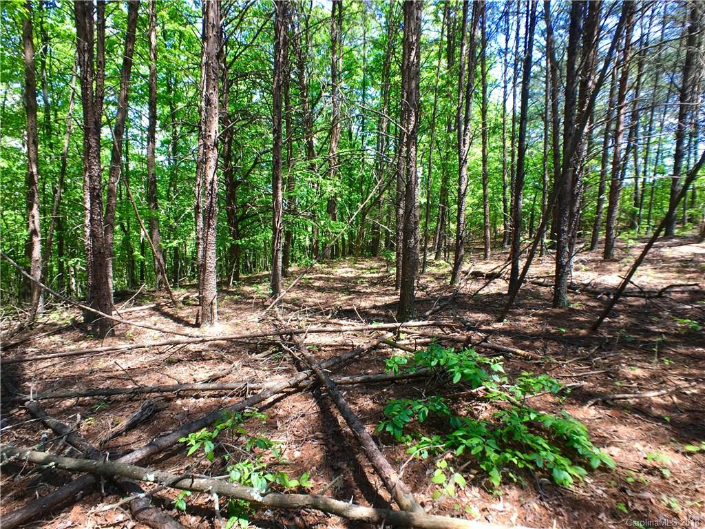 0 Moss Road Rutherfordton, NC 28139 - Photo 4 of 8