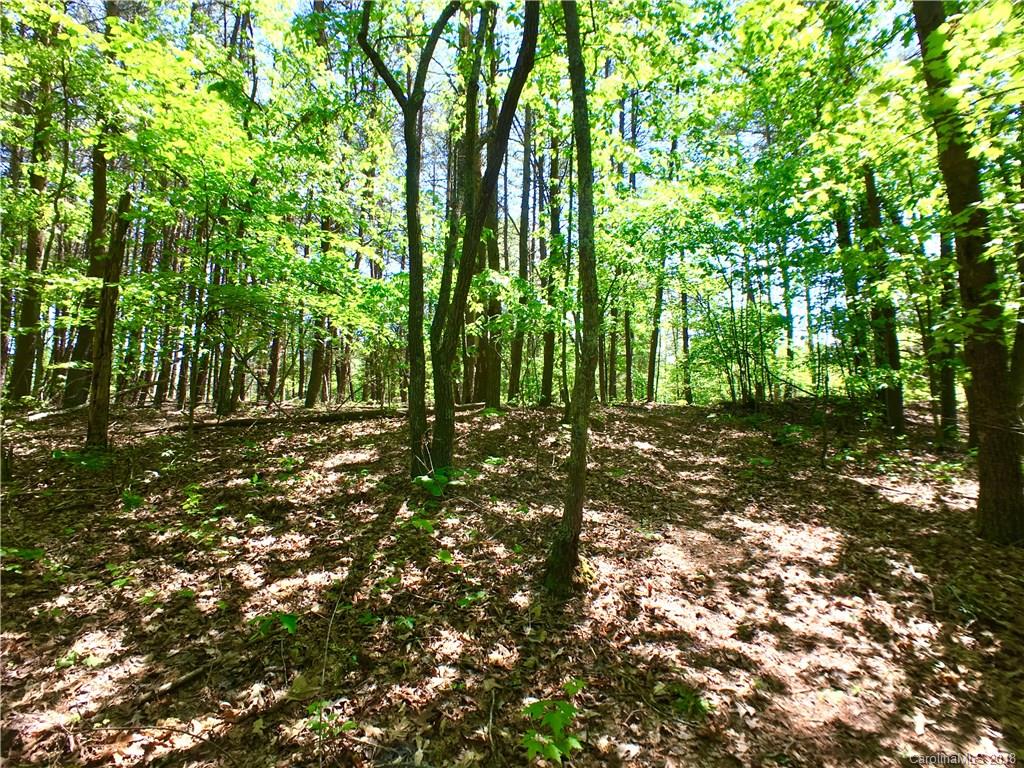 0 Moss Road Rutherfordton, NC 28139 - Photo 5 of 8