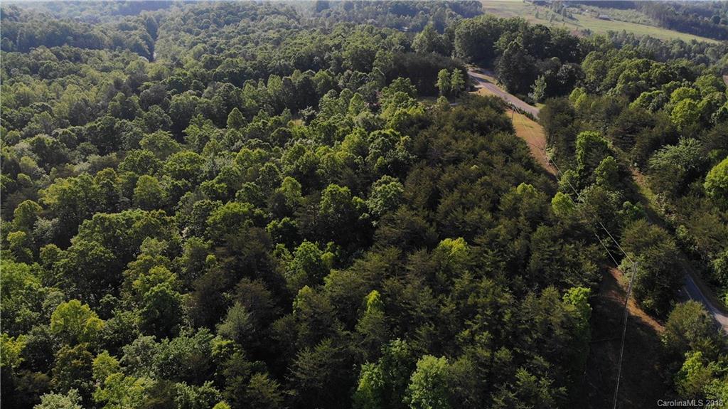 0 Moss Road Rutherfordton, NC 28139 - Photo 6 of 8