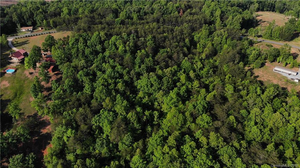 0 Moss Road Rutherfordton, NC 28139 - Photo 7 of 8