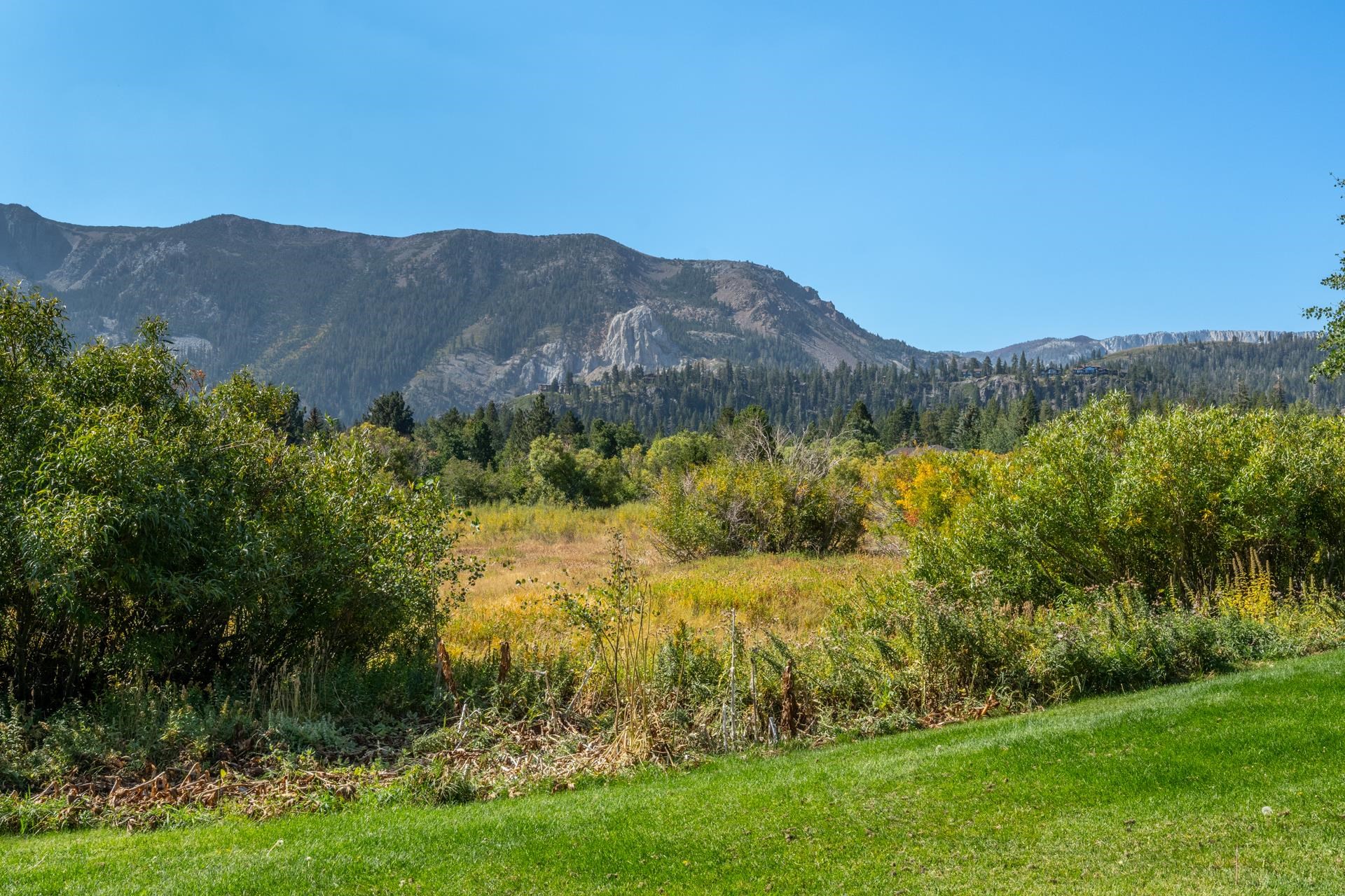402 Snowcreek Road, Unit 402 Mammoth Lakes, CA 93546 - Photo 39 of 47 a view of a lush green field with mountains in the background
