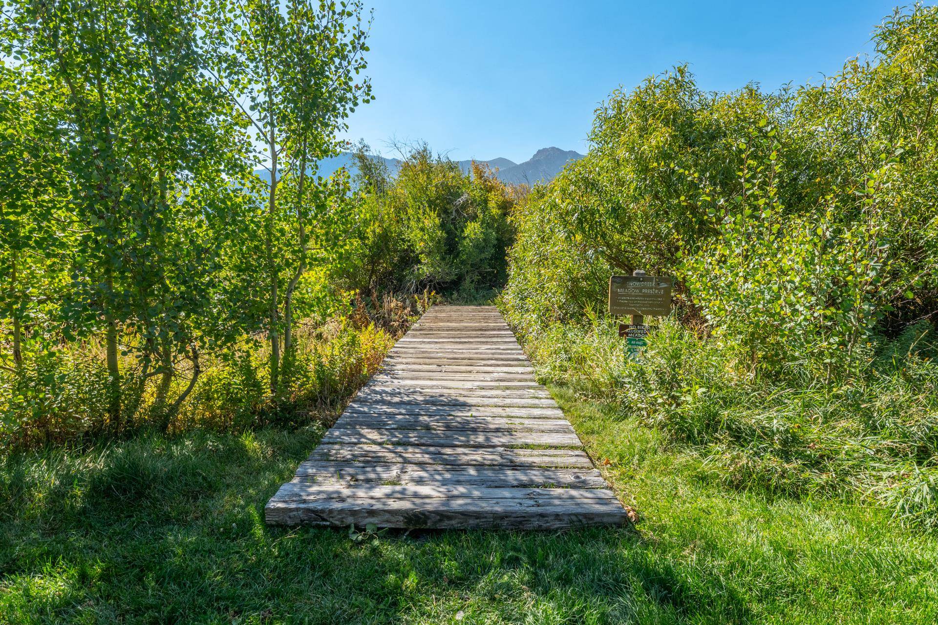 402 Snowcreek Road, Unit 402 Mammoth Lakes, CA 93546 - Photo 40 of 47 a view of a yard with plants and a large tree