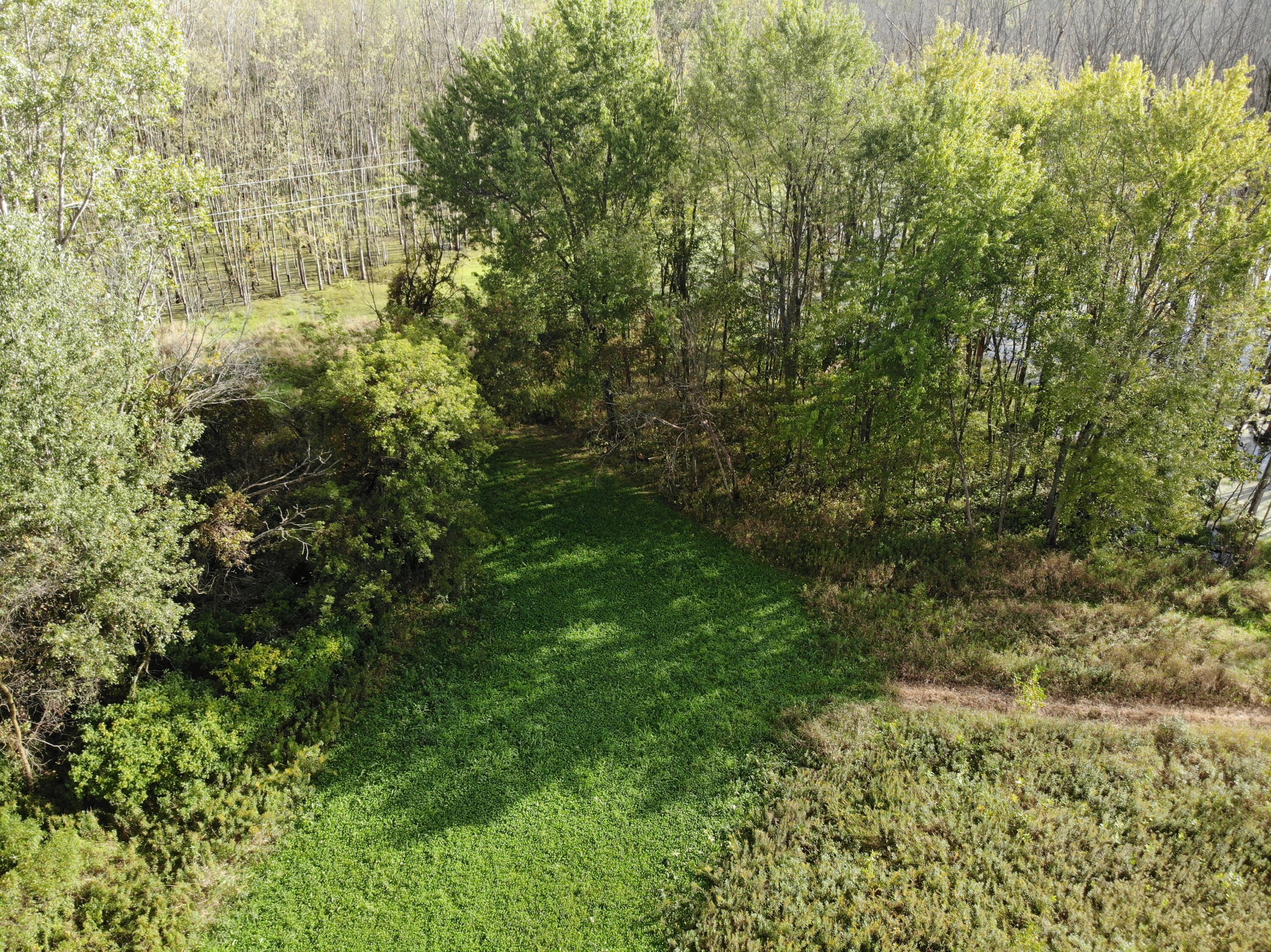 0 Riverside Drive Saranac, MI 48881 - Photo 6 of 12 28D7D1377DD3F977801C3B0A95CDA163