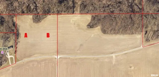 $89,000 | B Alma Hatchery Road, Odin, IL 62870