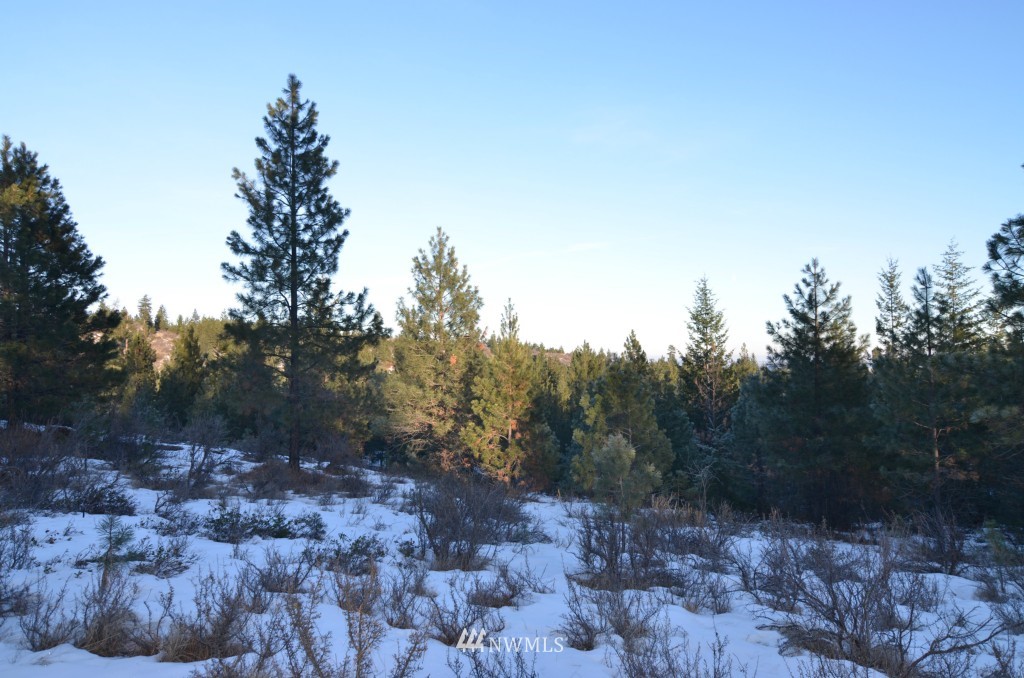 200 Washington Creek Road Chelan, WA 98816 - Photo 2 of 6 Gallery Image 2