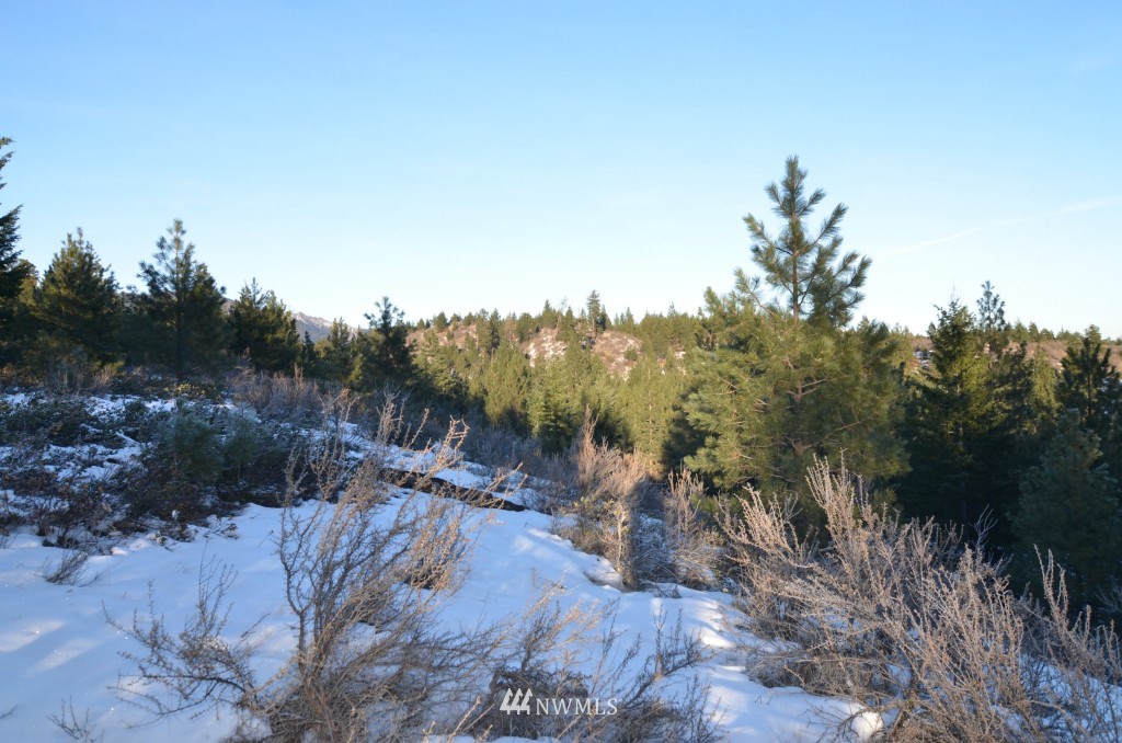 200 Washington Creek Road Chelan, WA 98816 - Photo 3 of 6 Gallery Image 3