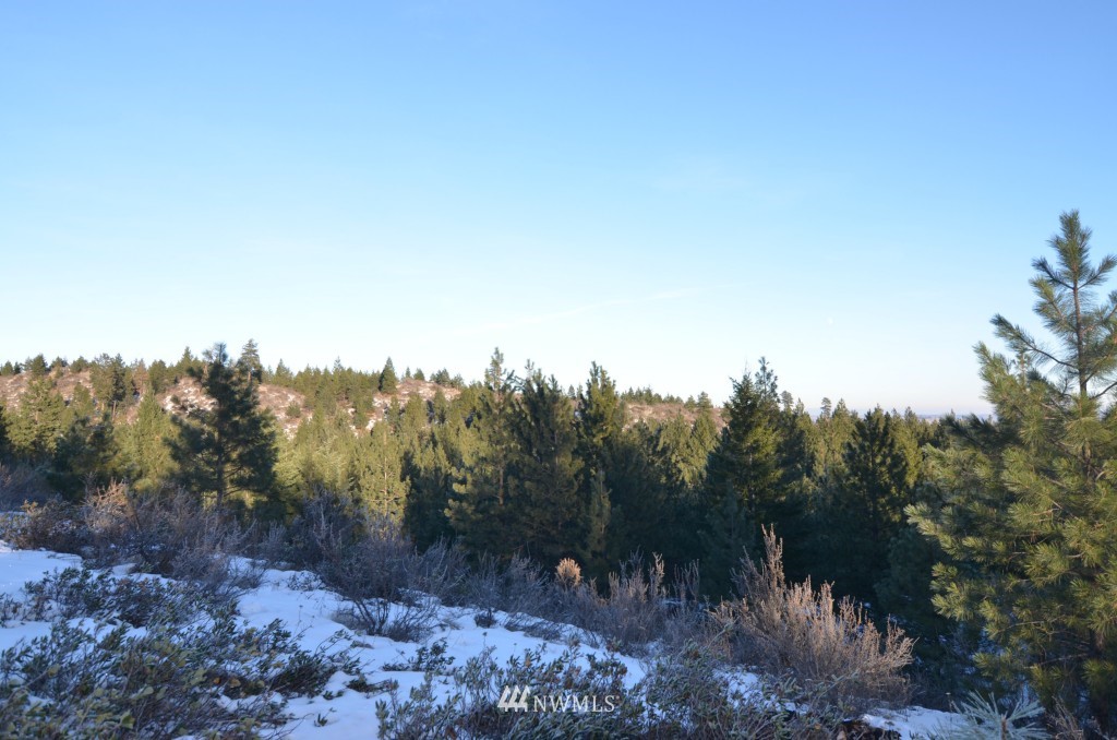 200 Washington Creek Road Chelan, WA 98816 - Photo 4 of 6 Gallery Image 4