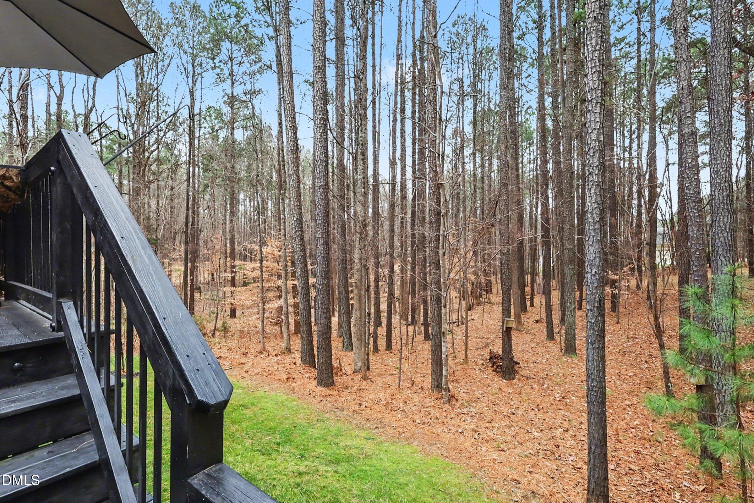 3587 Garner Terrace Way Wake Forest, NC 27587 - Photo 34 of 80 034_file_3093