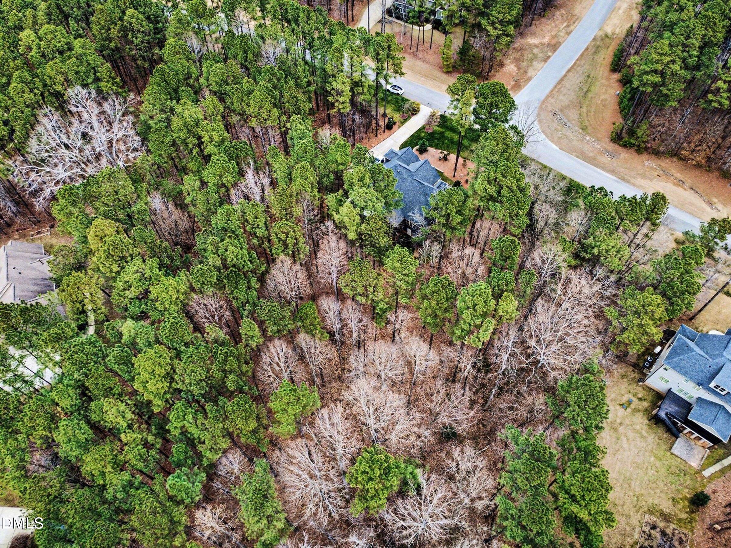 3587 Garner Terrace Way Wake Forest, NC 27587 - Photo 76 of 80 077_file_7905