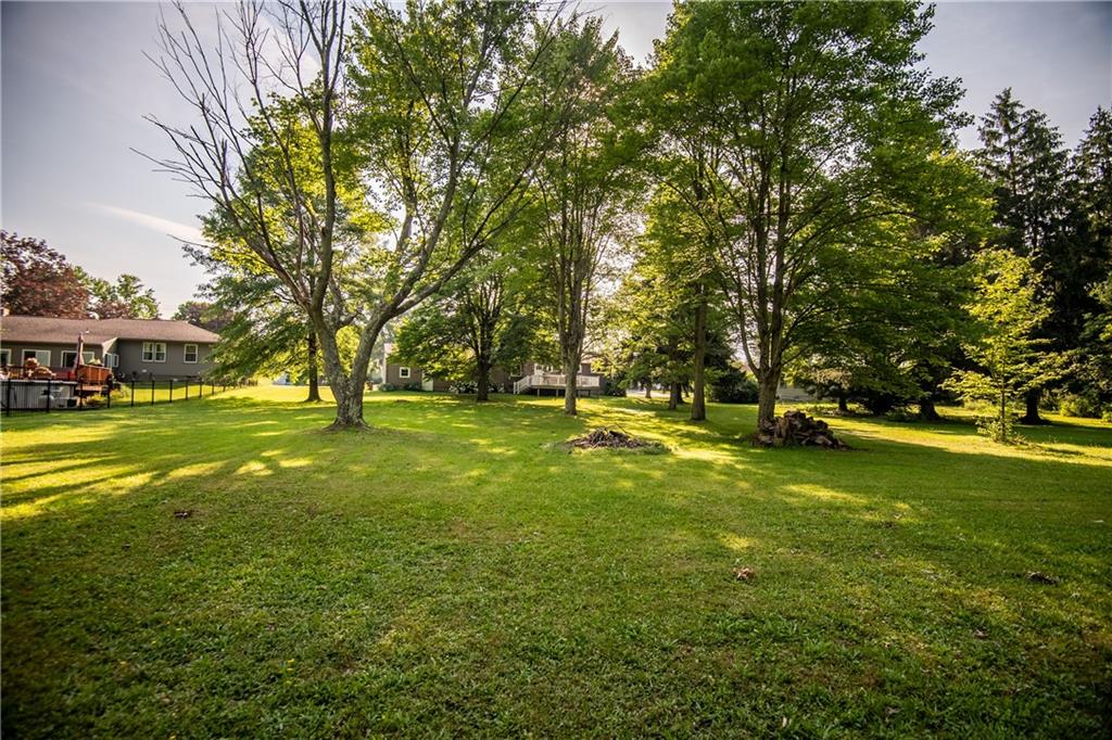 1010 South Keel Ridge Road Hermitage, PA 16148 - Photo 10 of 35 a view of yard with trees