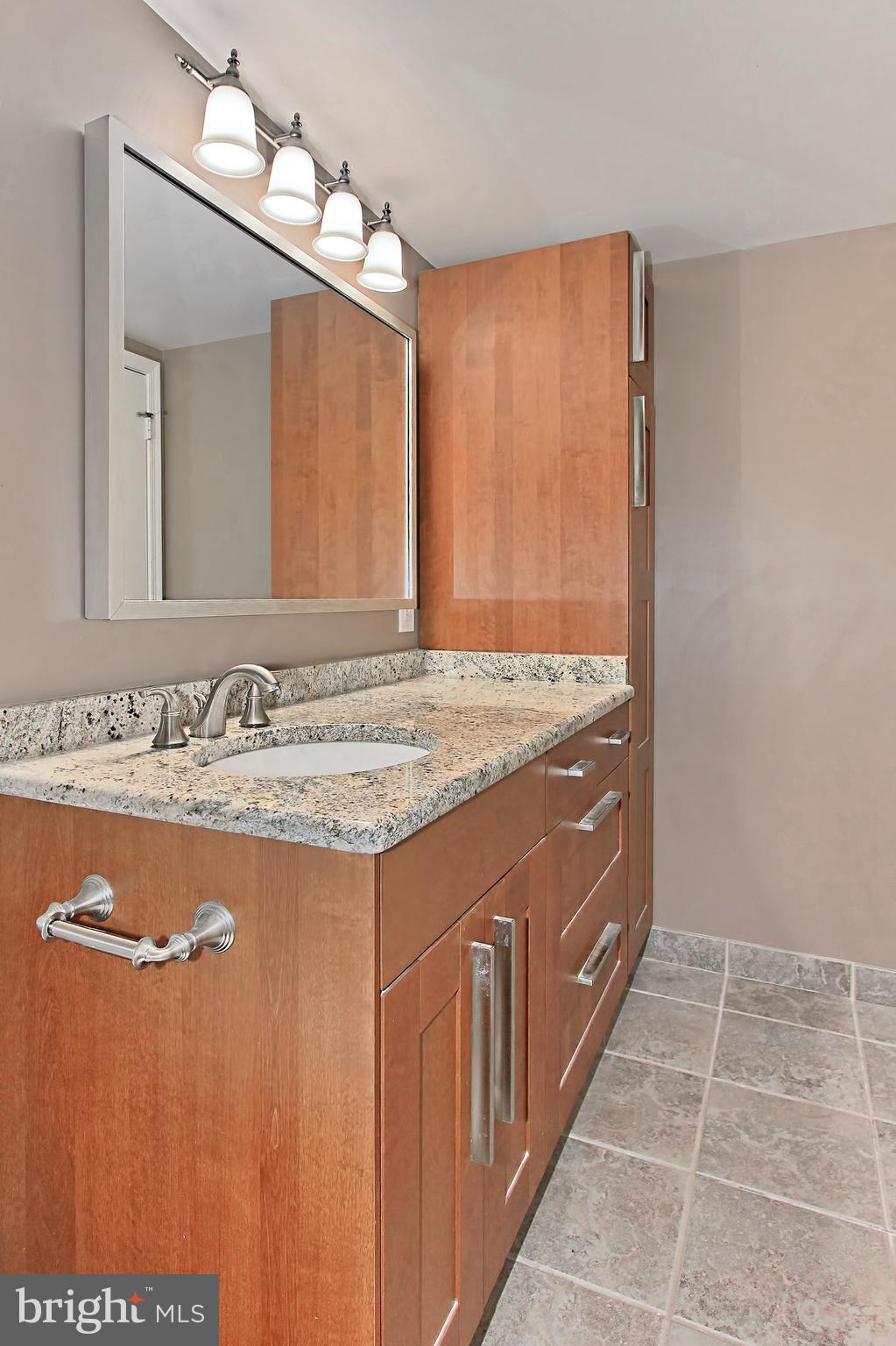 4525 28th Road South, Unit F Arlington, VA 22206 - Photo 22 of 24 Bath