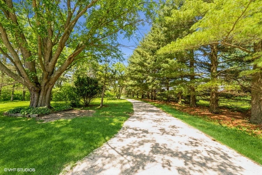 15817 Green Road Harvard, IL 60033 - Photo 25 of 25 a view of a yard with plants and trees