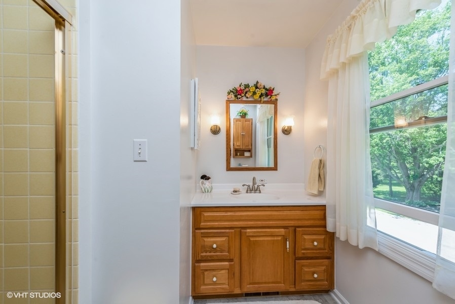 15817 Green Road Harvard, IL 60033 - Photo 10 of 25 a bathroom with a sink and a mirror