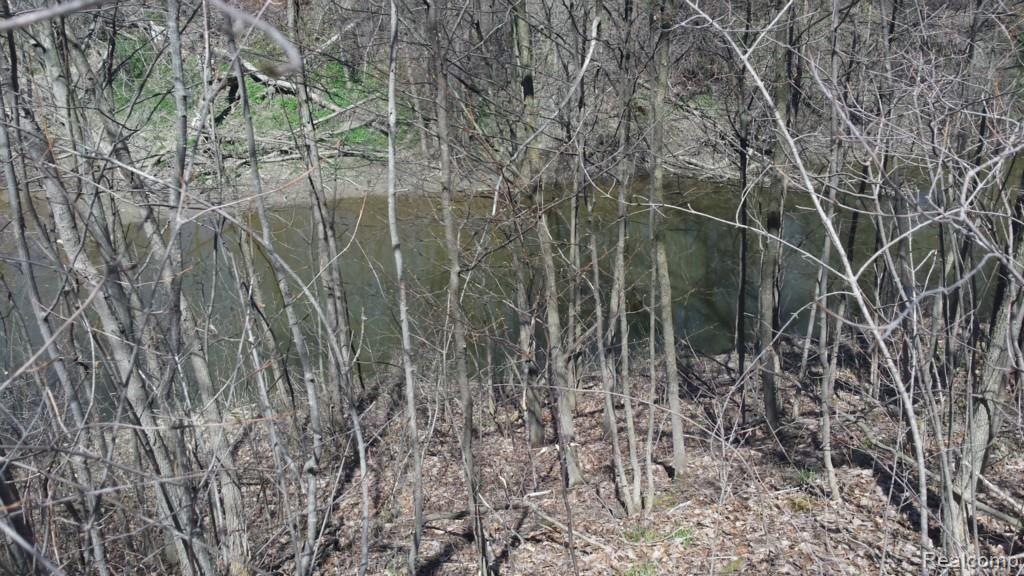 14814 Belle River Road Allenton, MI 48002 - Photo 12 of 17 Gallery Image 12