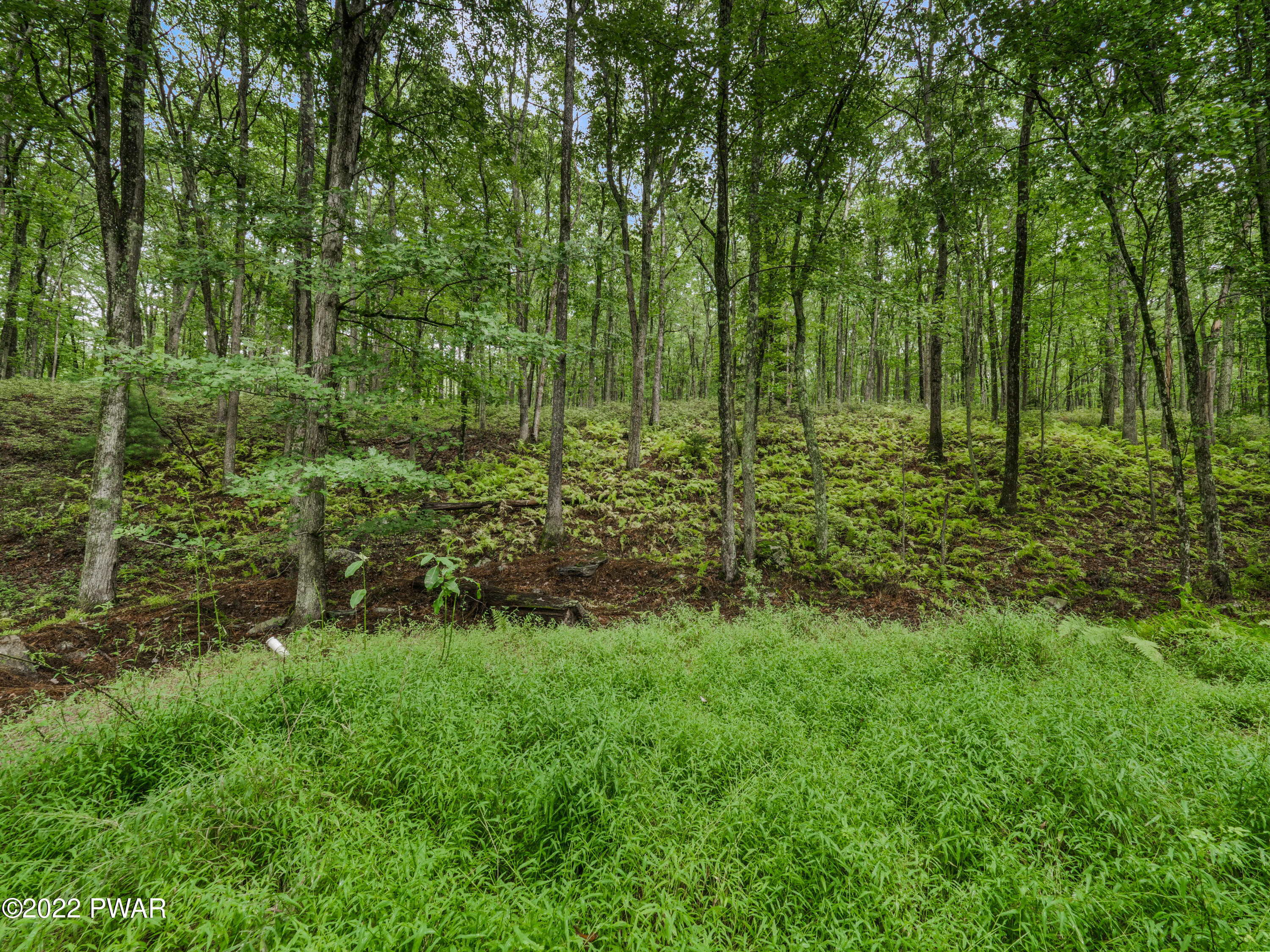 214 Springbrook Road Shohola, PA 18458 - Photo 28 of 29