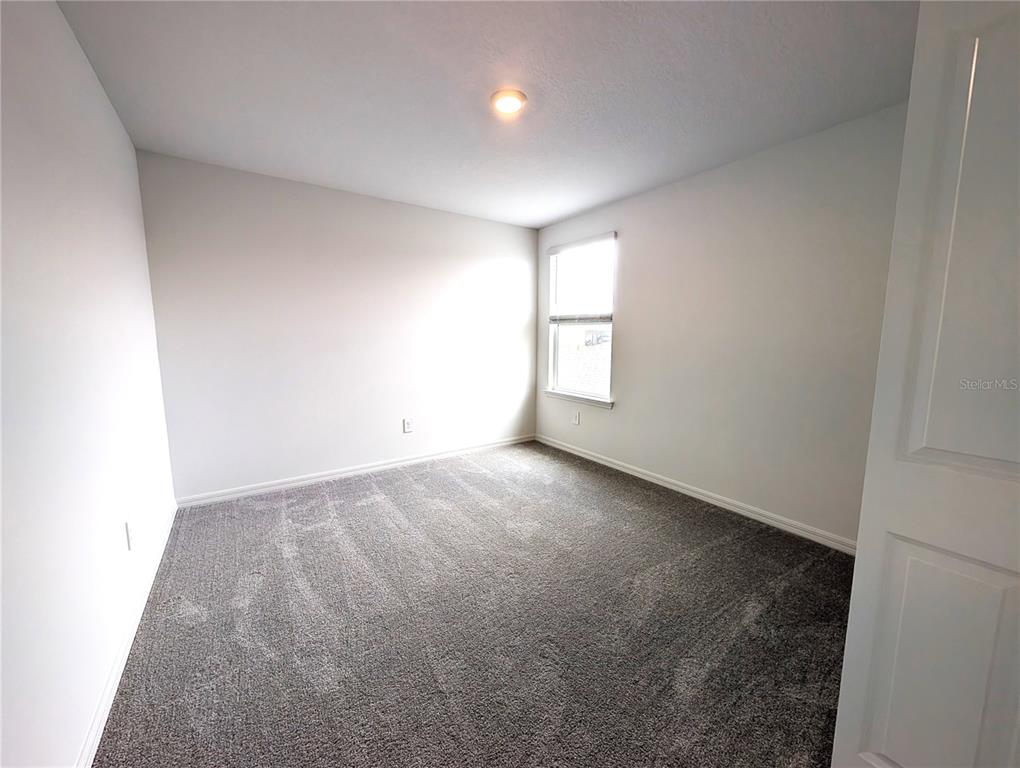 10171 Boger Rnch Court Wesley Chapel, FL 33545 - Photo 24 of 28