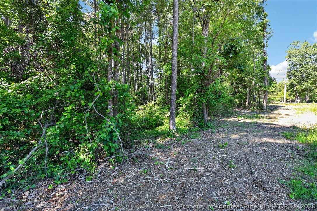 0 Fred Stone Road Sanford, NC 27332 - Photo 6 of 10