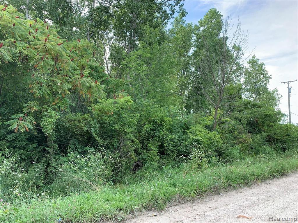 0 Martinsville Road Carleton, MI 48117 - Photo 2 of 5