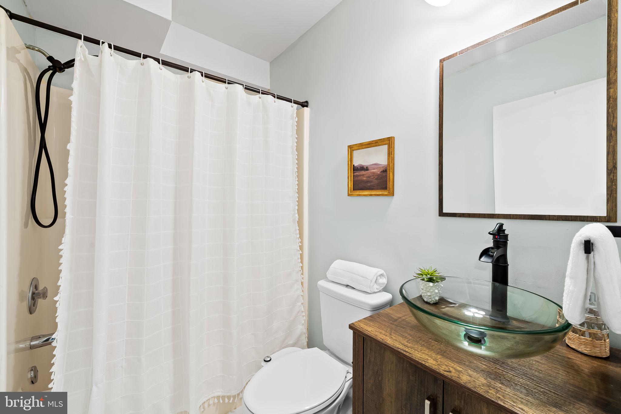 7321 Chesapeake Road Baltimore, MD 21220 - Photo 35 of 60 a bathroom with a sink a toilet and shower curtain