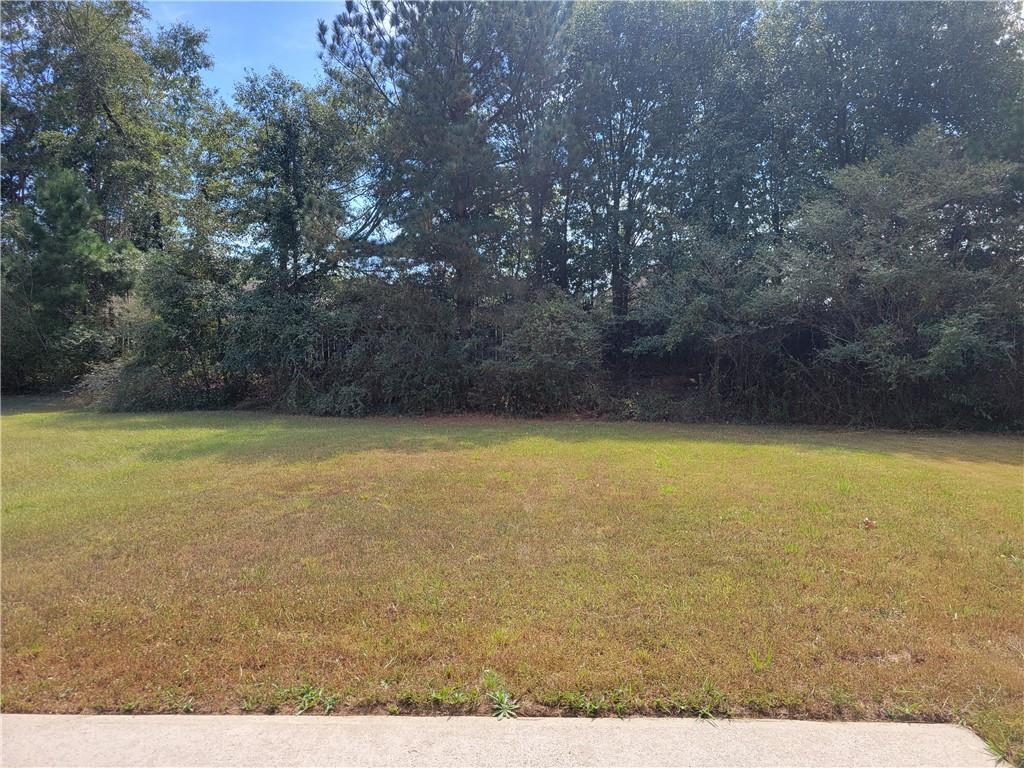 3474 Oakleaf Pass Fairburn, GA 30213 - Photo 19 of 19