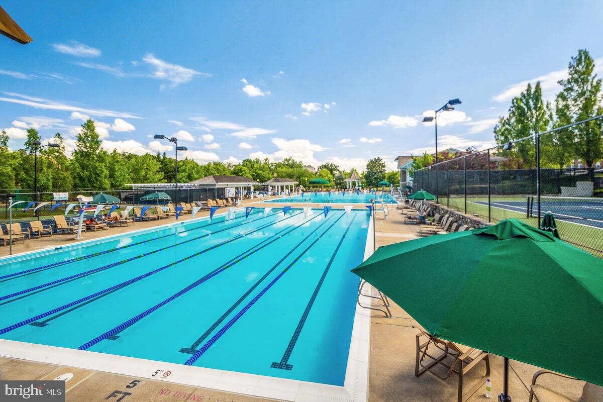 204 Hart Road Gaithersburg, MD 20878 - Photo 51 of 67 Kentlands Pool