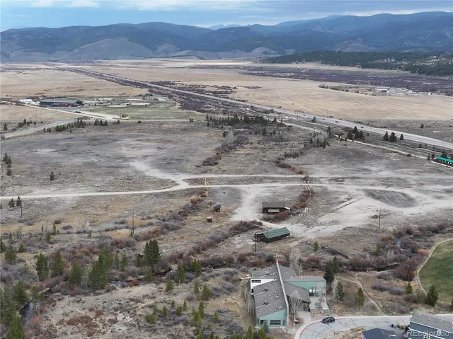 a view of a forest with a tree