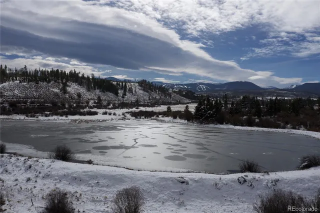 a view of a road with big trees
