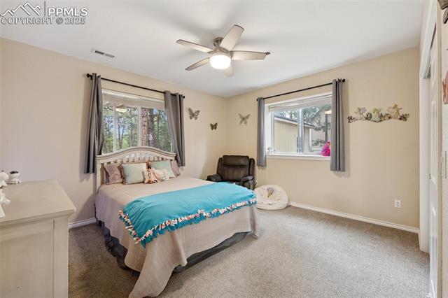 15595 Falcon Ridge Court Colorado Springs, CO 80921 - Photo 34 of 45 Gallery Image 34