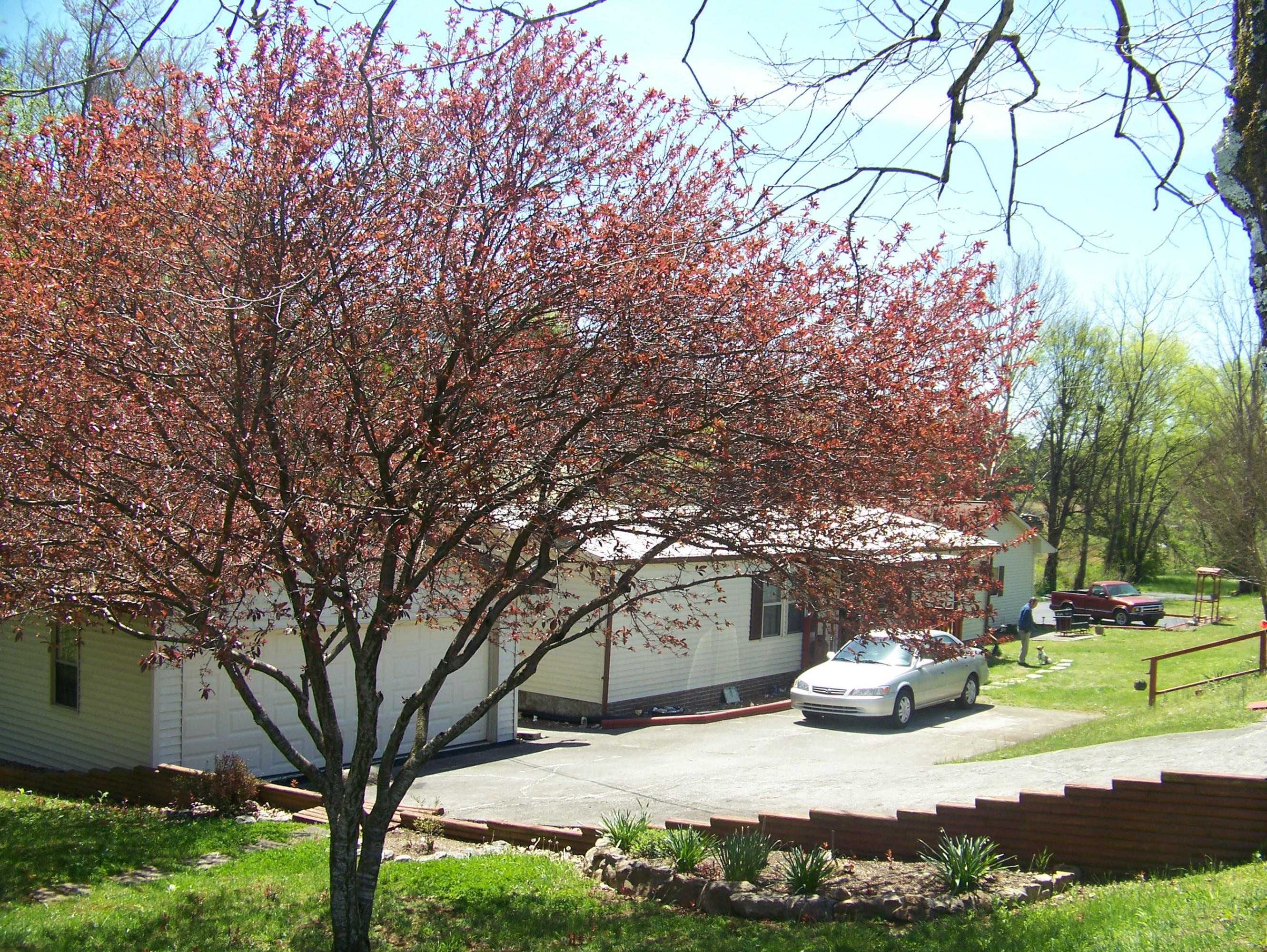 2823 Ellejoy Road Walland, TN 37886 - Photo 3 of 9 2823 Ellejoy Rd