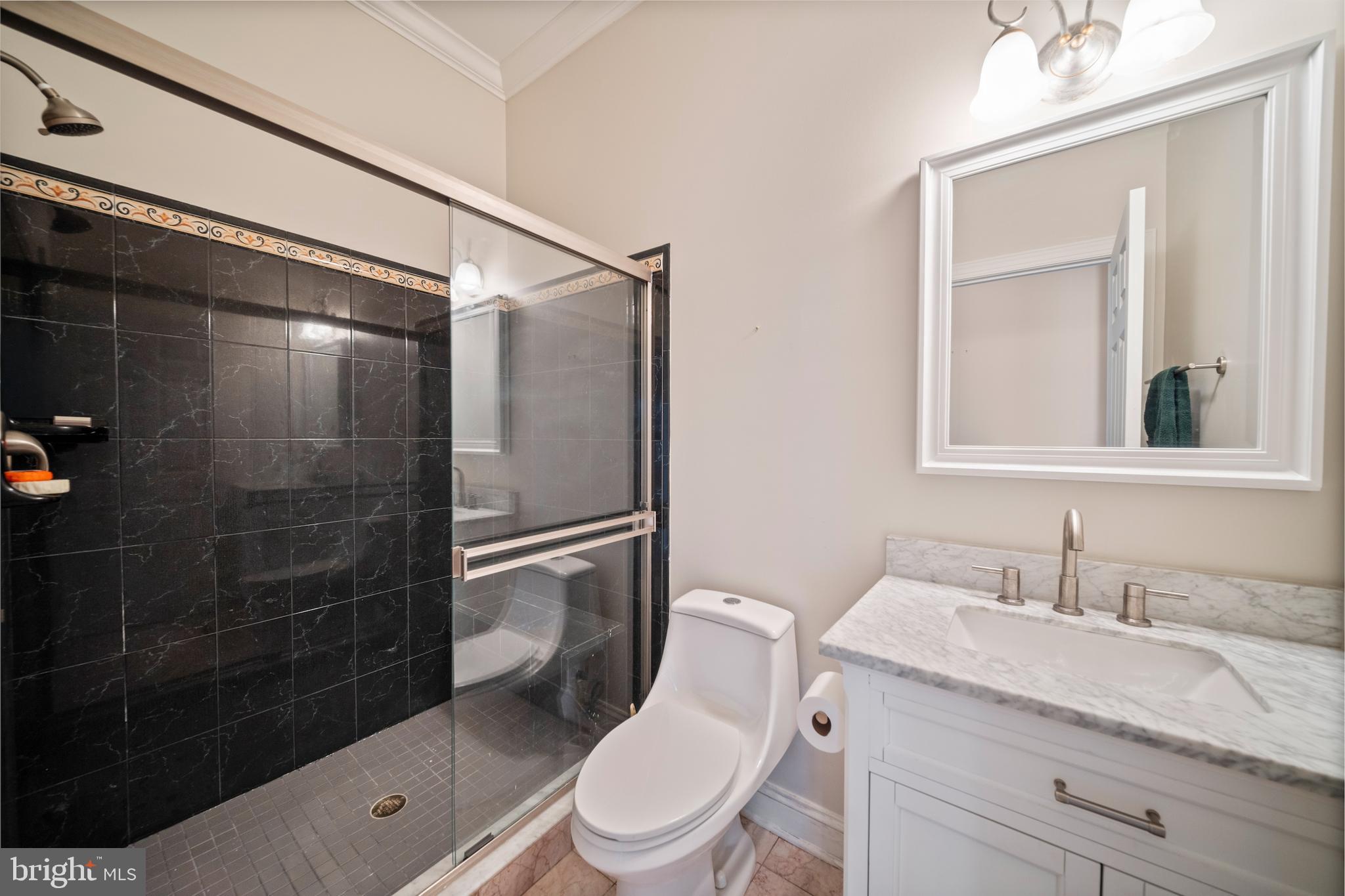 505 Pond View Lane Hunt Valley, MD 21030 - Photo 36 of 79 Additional full bath on the main level