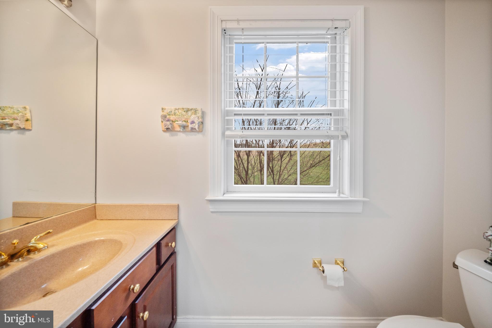 505 Pond View Lane Hunt Valley, MD 21030 - Photo 37 of 79 Main level powder room