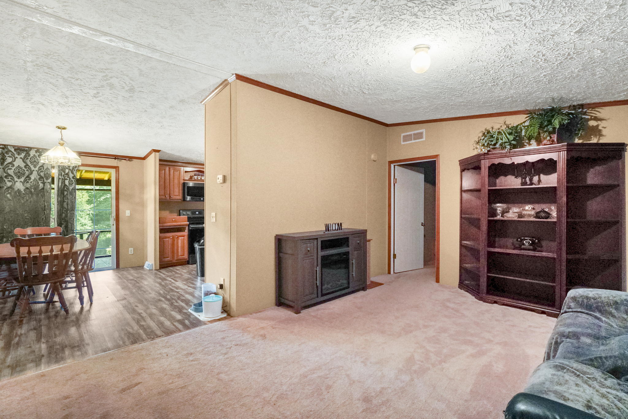 219 Clay Little Road Elizabethton, TN 37643 - Photo 9 of 28 9-web-or-mls-JH-Wed 20220727-023