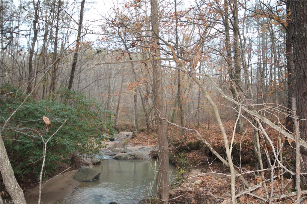 1285 Carroll Road Germanton, NC 27019 - Photo 18 of 27