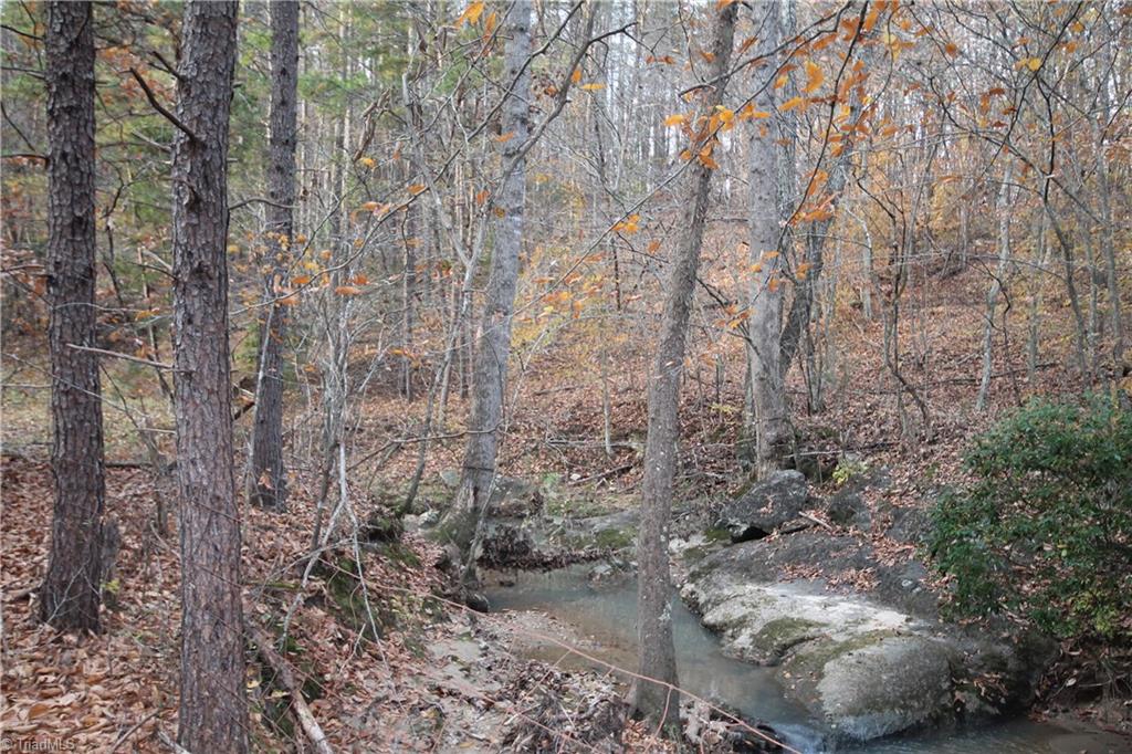 1285 Carroll Road Germanton, NC 27019 - Photo 22 of 27