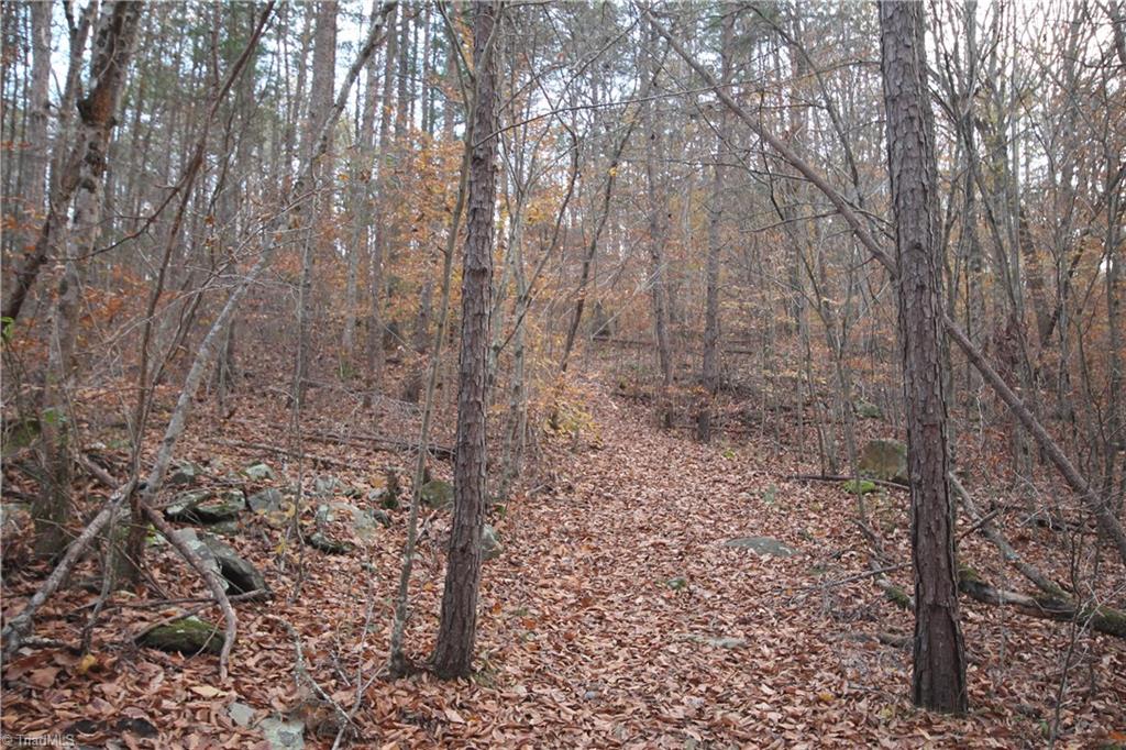1285 Carroll Road Germanton, NC 27019 - Photo 23 of 27