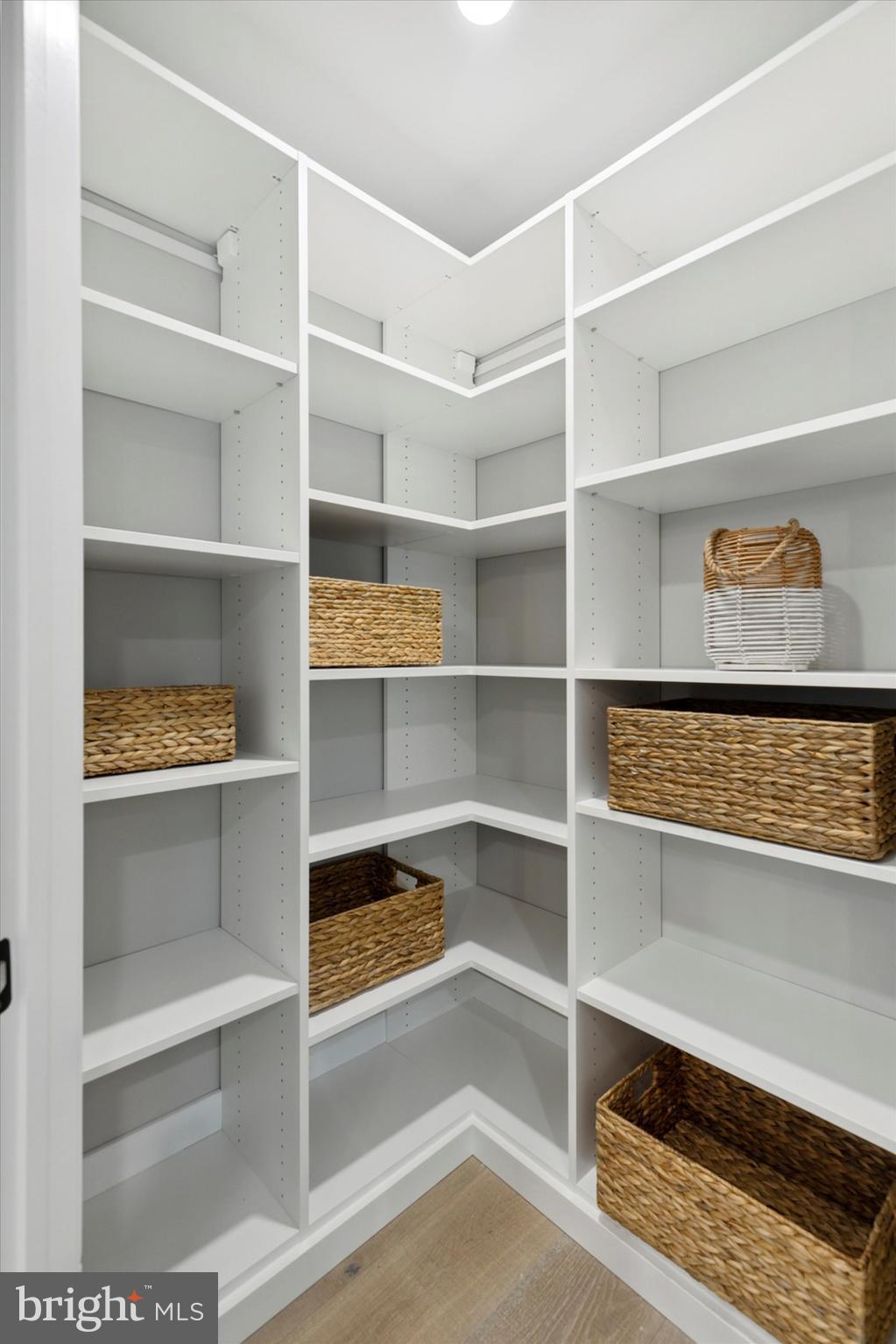 1110 West Valley Road Wayne, PA 19087 - Photo 23 of 91 Walk-in Pantry