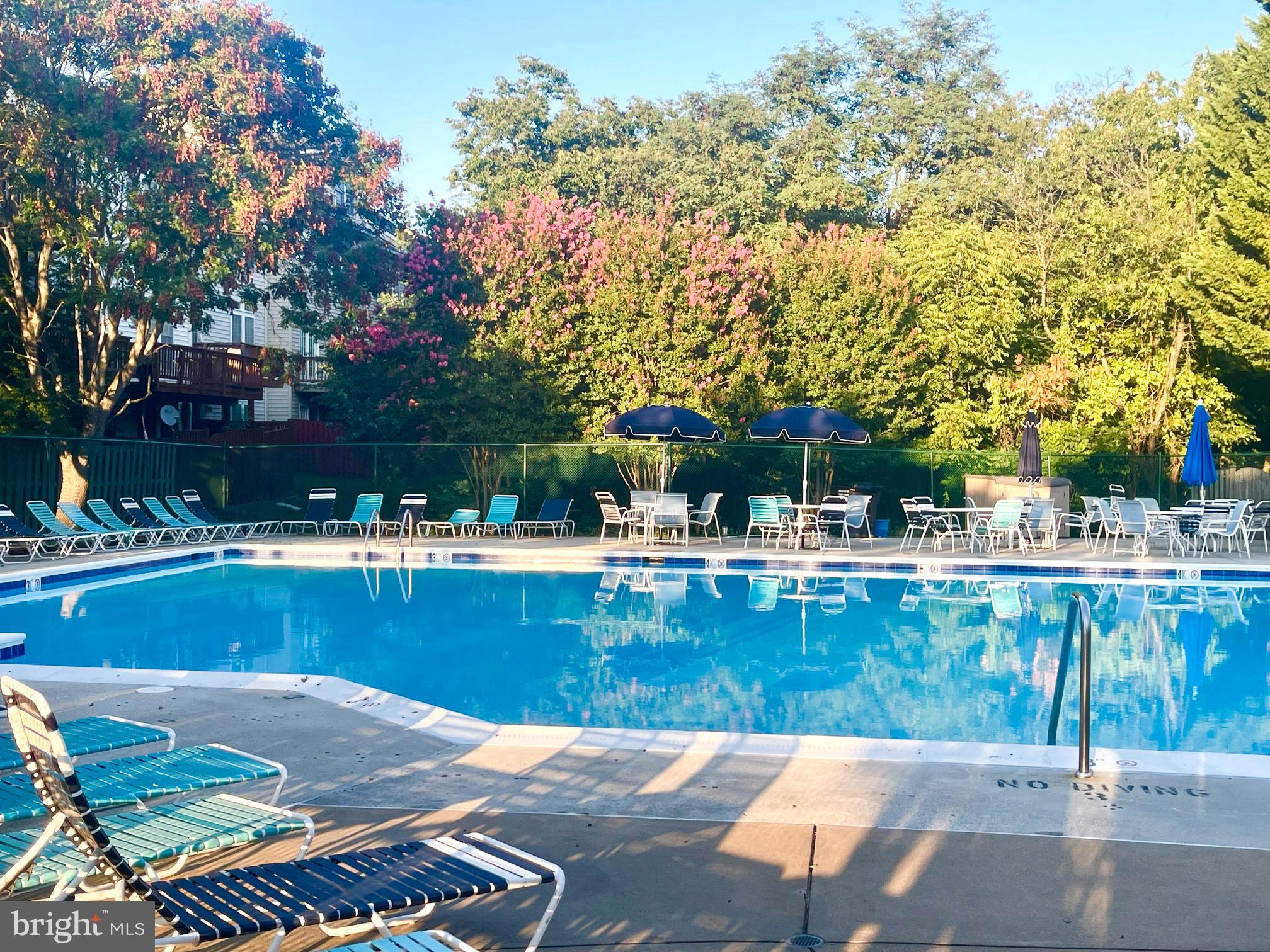 6360 Dakine Circle Springfield, VA 22150 - Photo 34 of 35 Community Pool