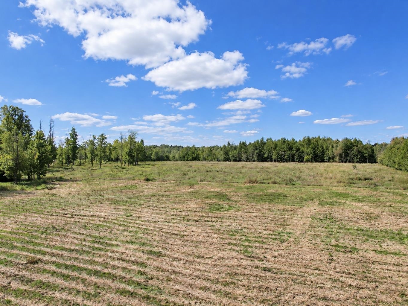 W3545 Richter Road Peshtigo, WI 54157 - Photo 42 of 45 Gallery Image 42