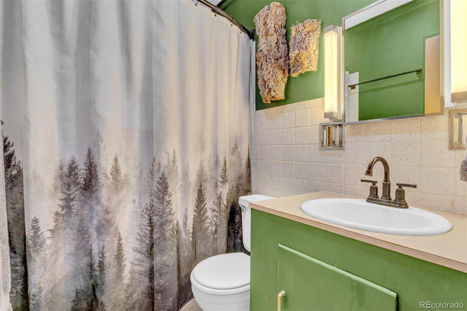 14601 South Elk Creek Road Pine, CO 80470 - Photo 17 of 26 a bathroom with a sink a toilet and a mirror