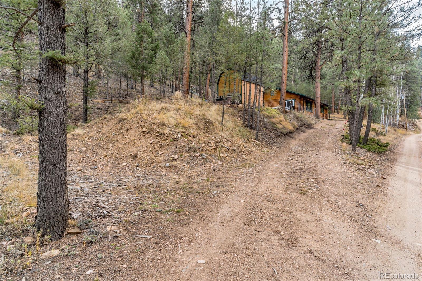 14601 South Elk Creek Road Pine, CO 80470 - Photo 23 of 26 a view of a backyard with large trees and wooden fence