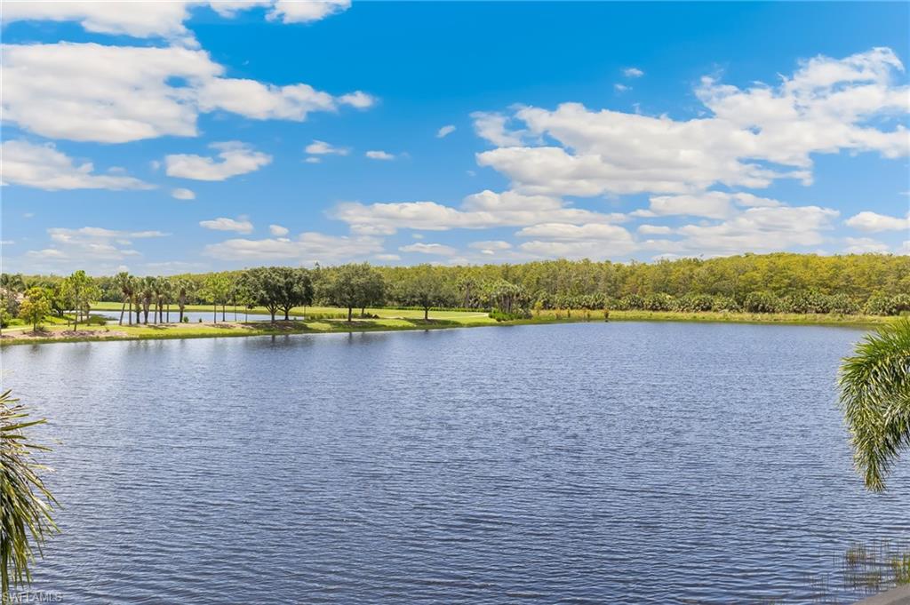 12749 Dundee Lane Naples, FL 34120 - Photo 27 of 45 a view of a lake with houses in the background