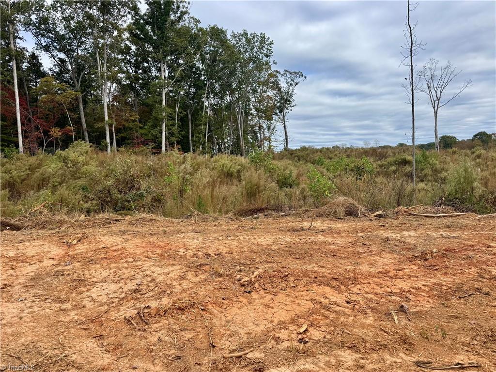 Lot 12 Skeens Mill Road Trinity, NC 27370 - Photo 12 of 14