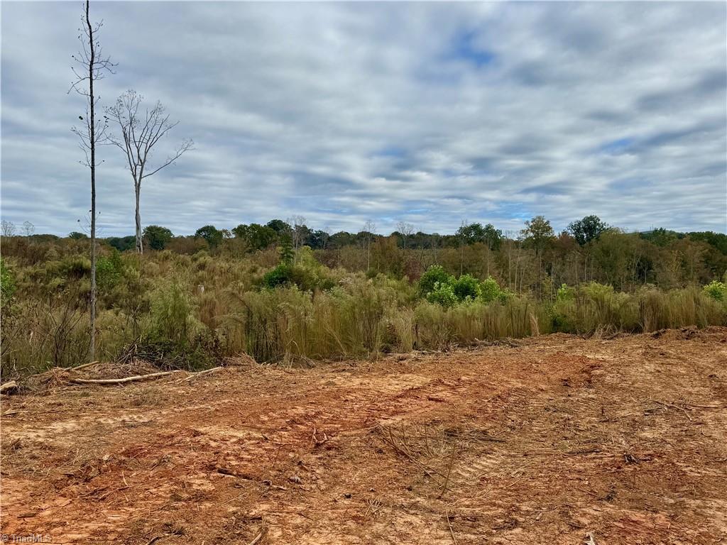 Lot 12 Skeens Mill Road Trinity, NC 27370 - Photo 3 of 14