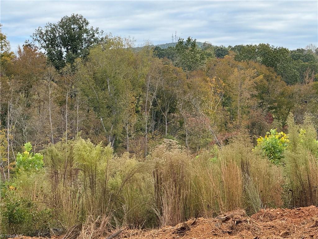 Lot 12 Skeens Mill Road Trinity, NC 27370 - Photo 4 of 14