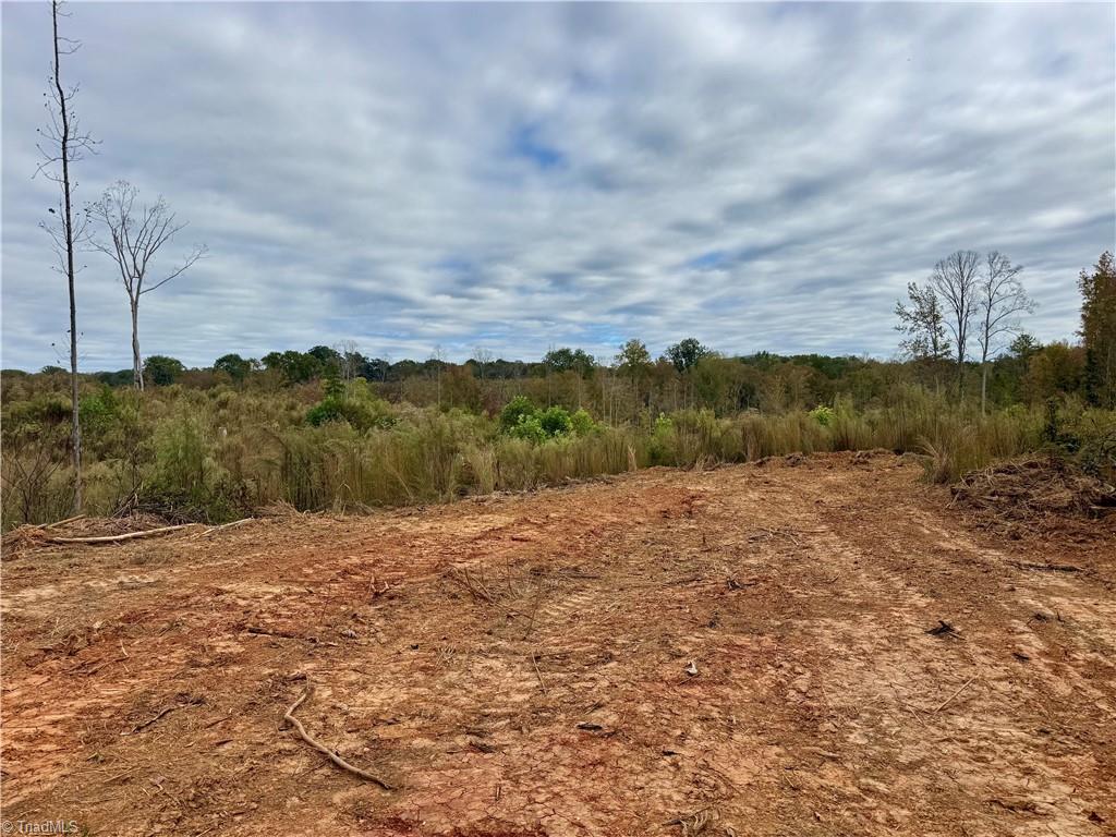 Lot 12 Skeens Mill Road Trinity, NC 27370 - Photo 5 of 14