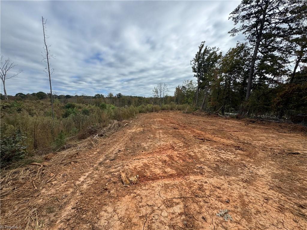 Lot 12 Skeens Mill Road Trinity, NC 27370 - Photo 8 of 14