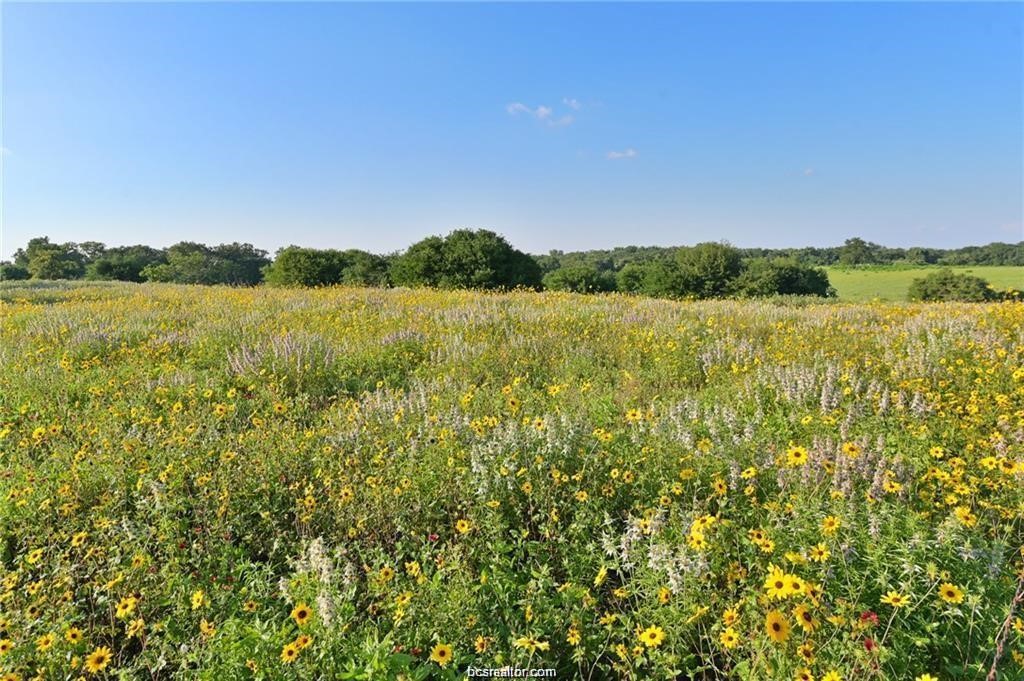 9776 Calhoun Road Bryan, TX 77808 - Photo 40 of 50